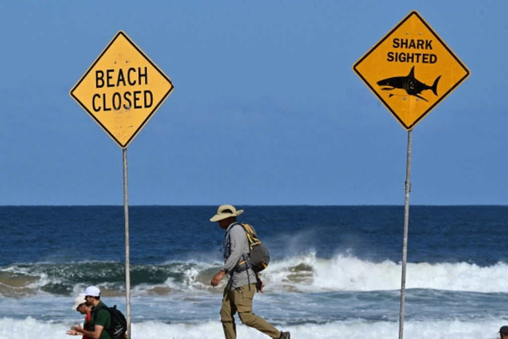 Surfer dies after “big shark” attack on Australian beach