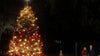 It's tradition: Jill and Joe Biden light the Christmas tree in Washington