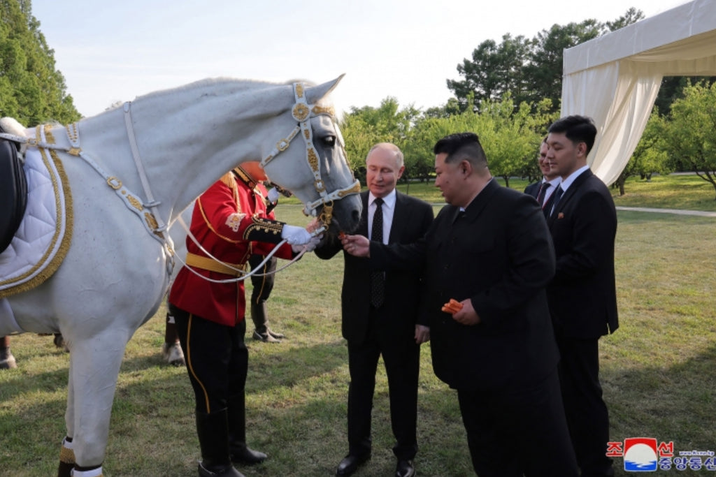 Ducks, bears, parrots and... a lion: Vladimir Putin's strange gift to Kim Jong-un