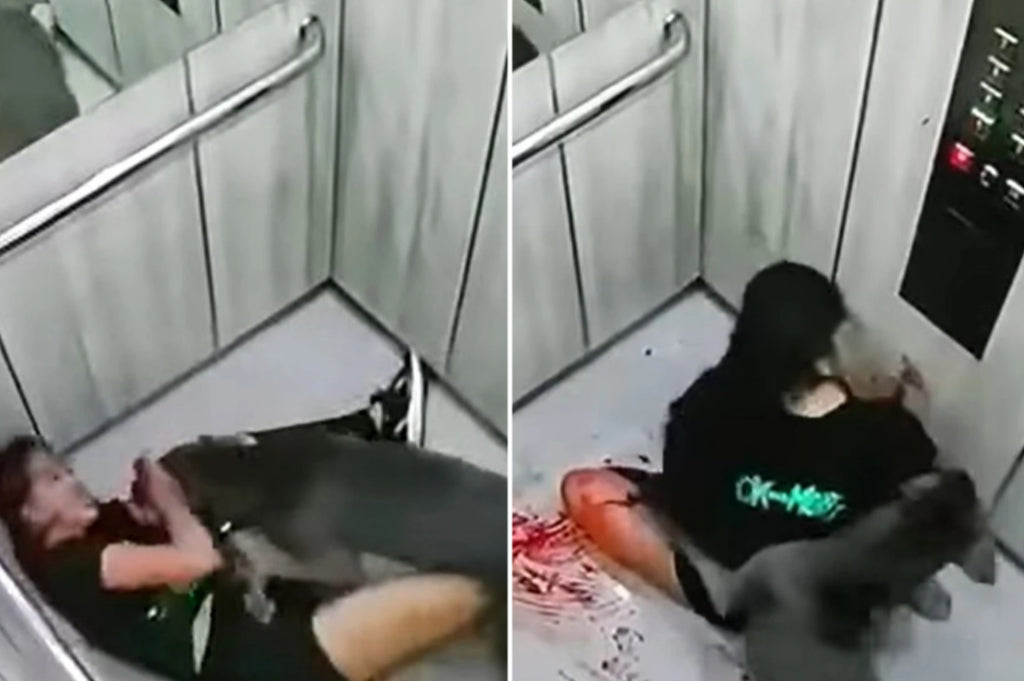 Graphic footage shows woman mauled by pit bull trying to escape by dragging herself into lift