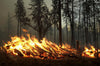 U.S. faces extreme temperatures, alarming fire in California