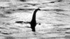 The mystery of "Nessie" remains: the biggest hunt for the Loch Ness monster in 50 years has come to an end.