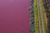 The image of negligence: polluted by chemicals, a lagoon turns pink in Patagonia