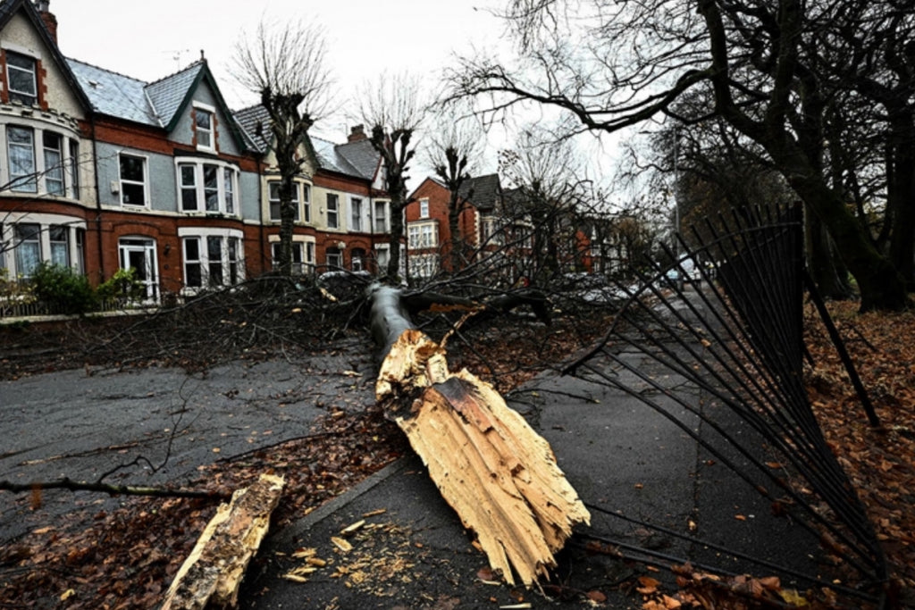 Power cuts, cancelled flights: Storm Darragh causes major damage in the UK