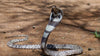 It all happened in a flash: attacked by a cobra in India, an 8 year old child bites it to defend himself... and kills it