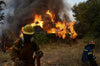 Over 40 degrees in Greece: a fire continues to rage in the Peloponnese