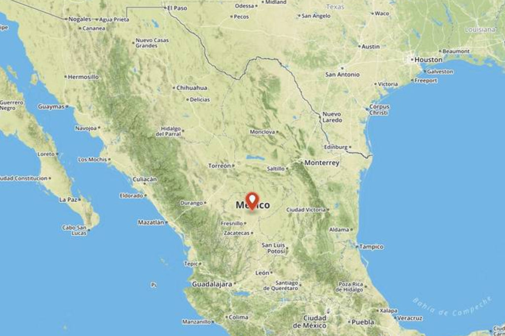 12 dead and 3 injured in bar attack in central Mexico