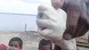 Fishermen make an incredible discovery in their nets: We found an albino Cyclops shark!