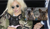Lady Gaga finds her stolen dogs: they are safe and sound